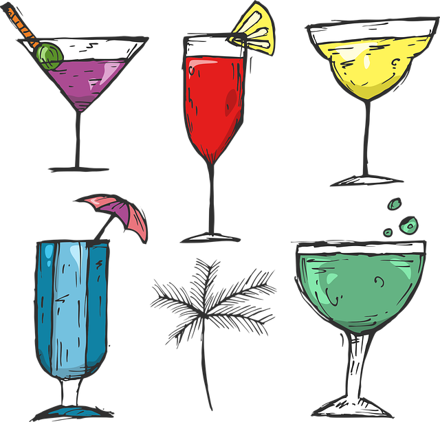 Ontdek de kunst van cocktailshakers: van beginner tot pro